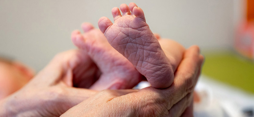 Frauenheilkunde, Geburtshilfe und Senologie